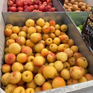 Meet your Posher, Layla